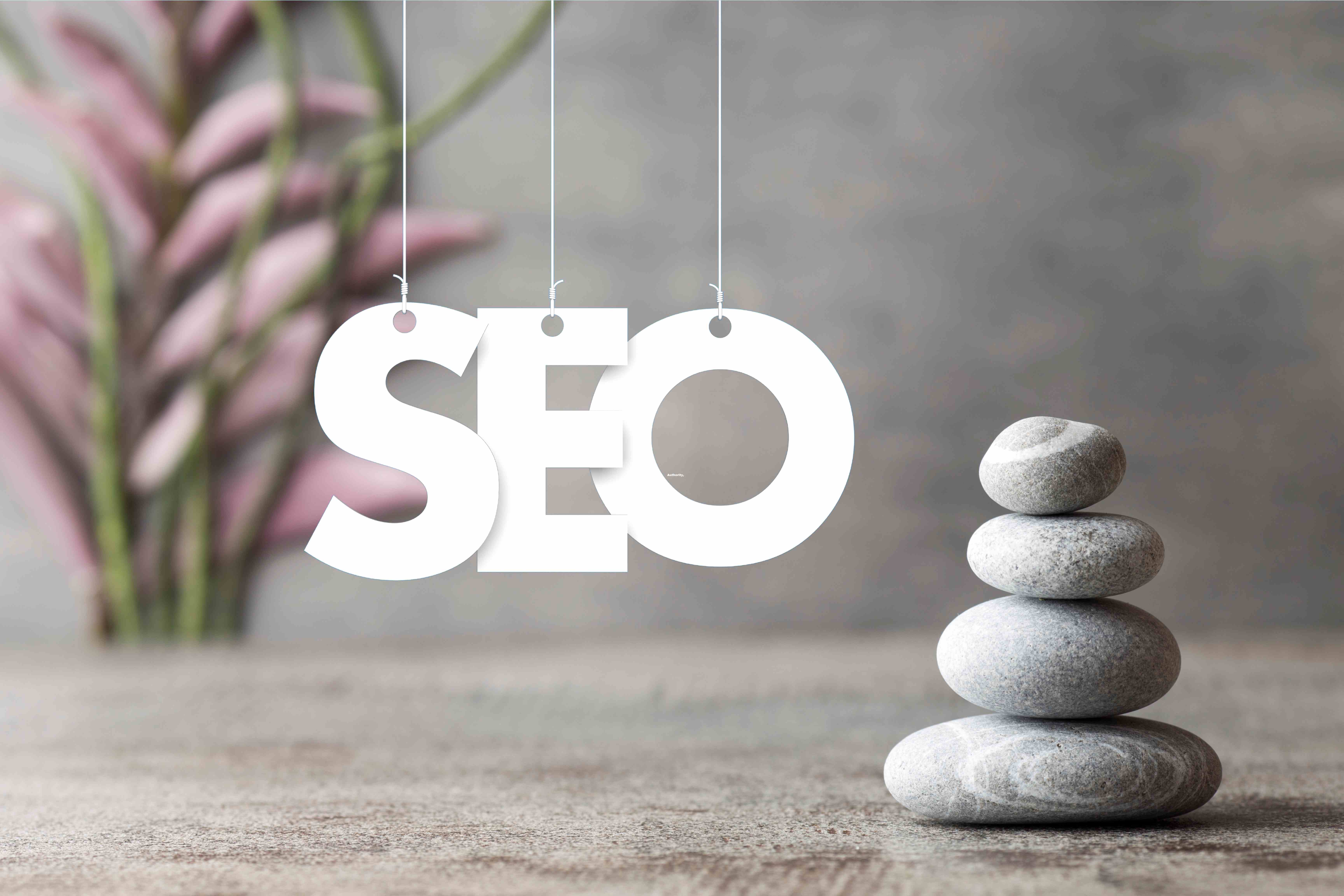 wellness seo