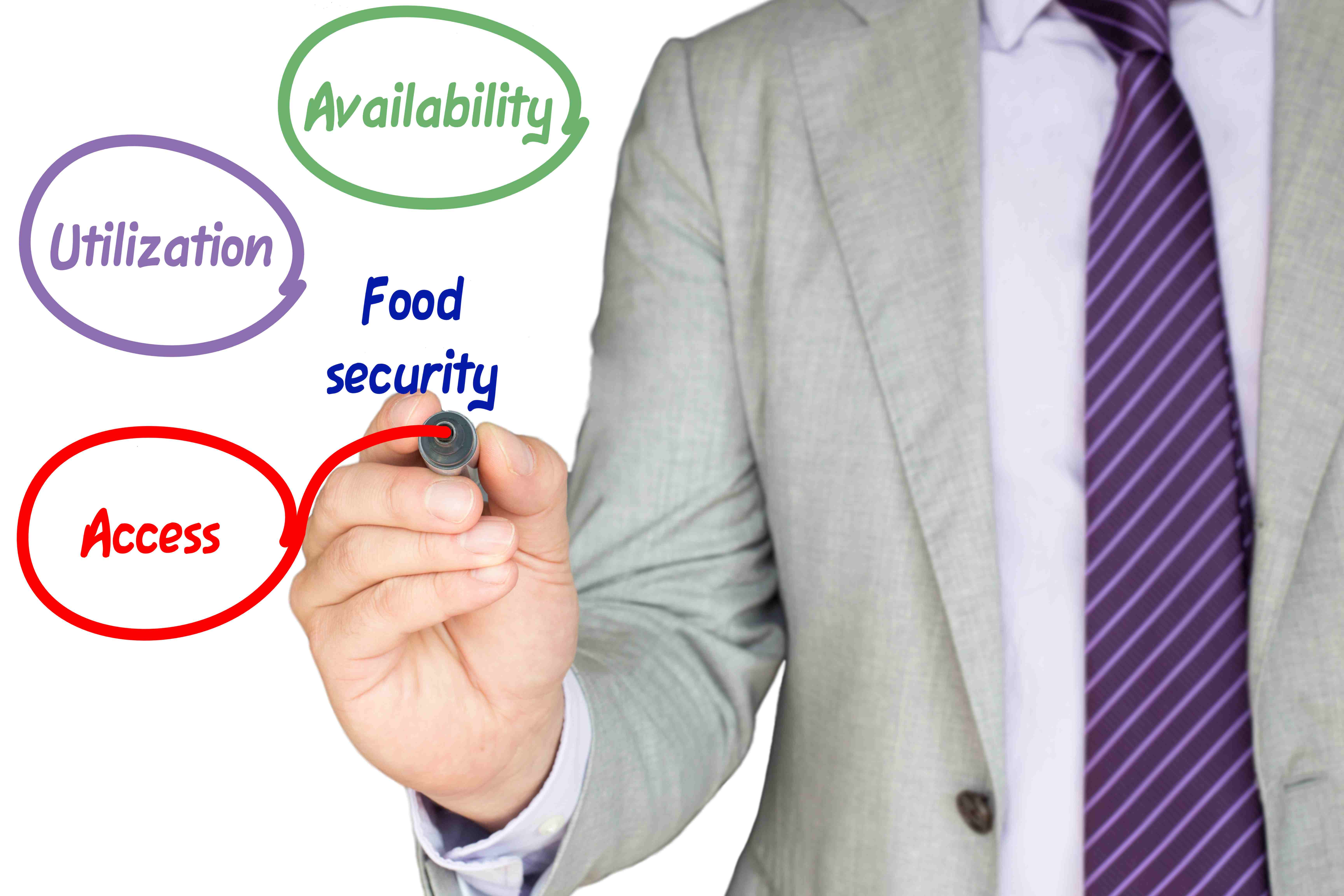 The Impact of SEO on Food Security Initiatives