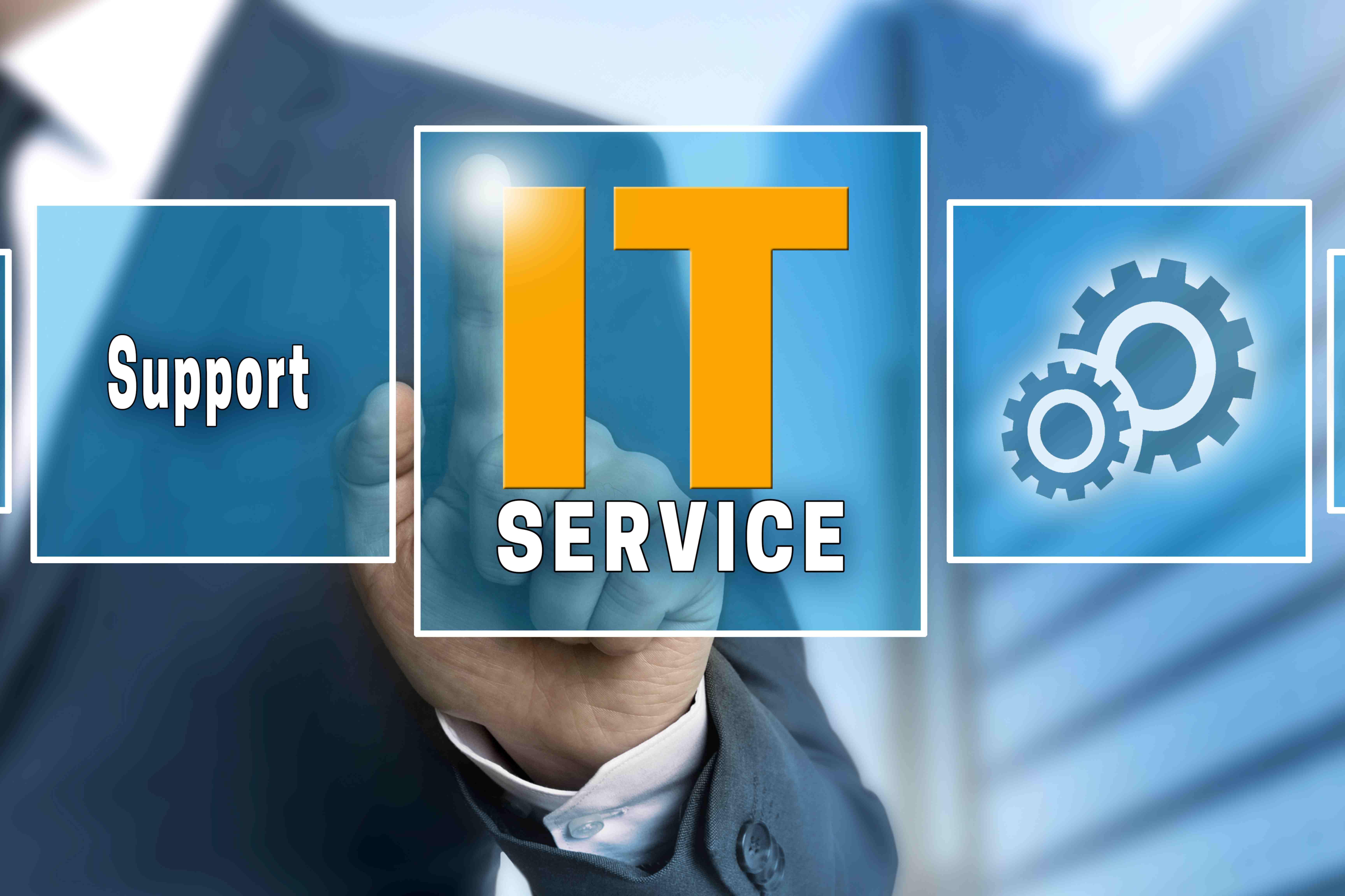 IT SERVICES