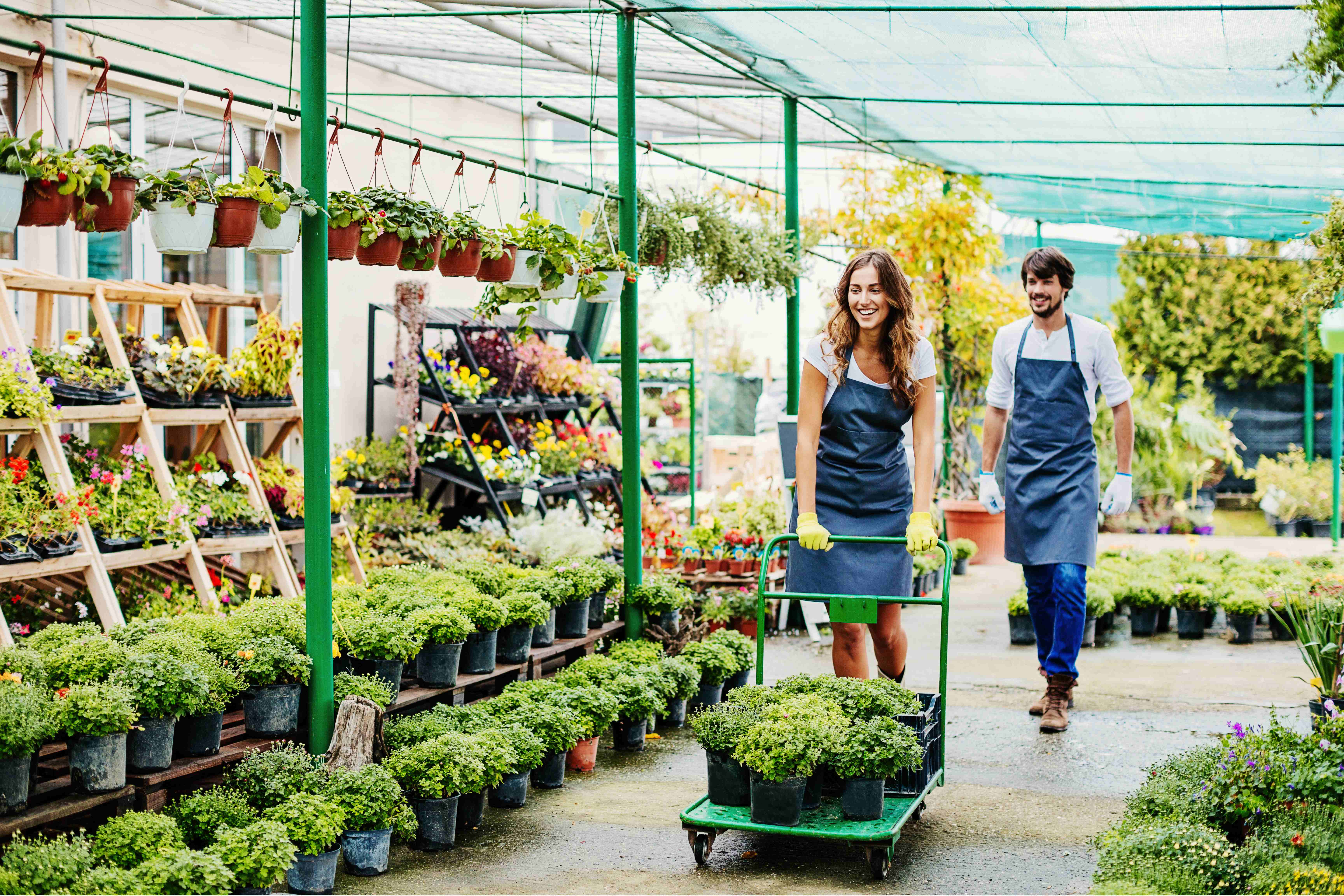 SEO for Garden Centers