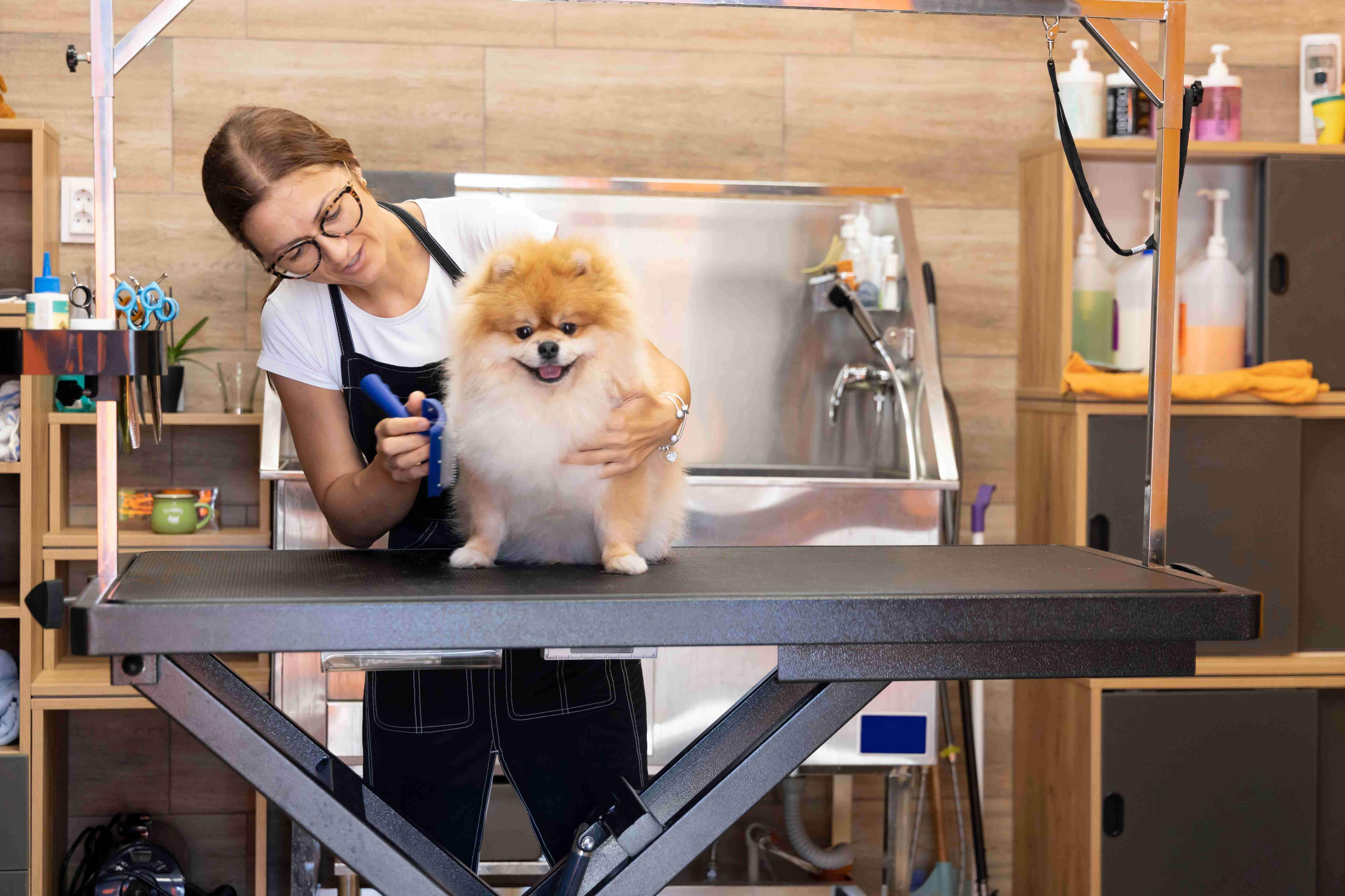 SEO for Pet Groomers: Attracting Local Pet Owners Through Search